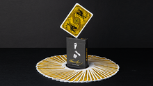 Load image into Gallery viewer, Bruce Lee Playing Cards by Dan and Dave