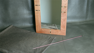 Flexible Mirror/Needle Through Mirror by Tony Karpinski