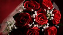 Load image into Gallery viewer, The Bouquet (Red) by Bond Lee &amp; MS Magic- Trick