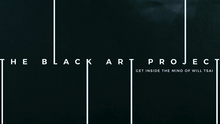 Load image into Gallery viewer, Black Art Project (2 DVD Set) by SansMinds- DVD