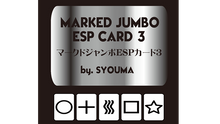 Load image into Gallery viewer, Marked Jumbo ESP Cards (Black) by Tejinaya Magic - Trick