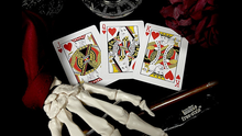 Load image into Gallery viewer, A Brush with Death Playing Cards