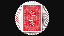 Load image into Gallery viewer, Pro Edition Night Flight Playing Cards by Steve Dela