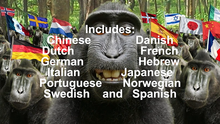 Load image into Gallery viewer, 100th Monkey Multi-Language by Chris Philpott