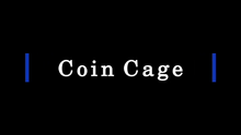 Load image into Gallery viewer, Coin Cage (Silver) by Paul Carnazzo